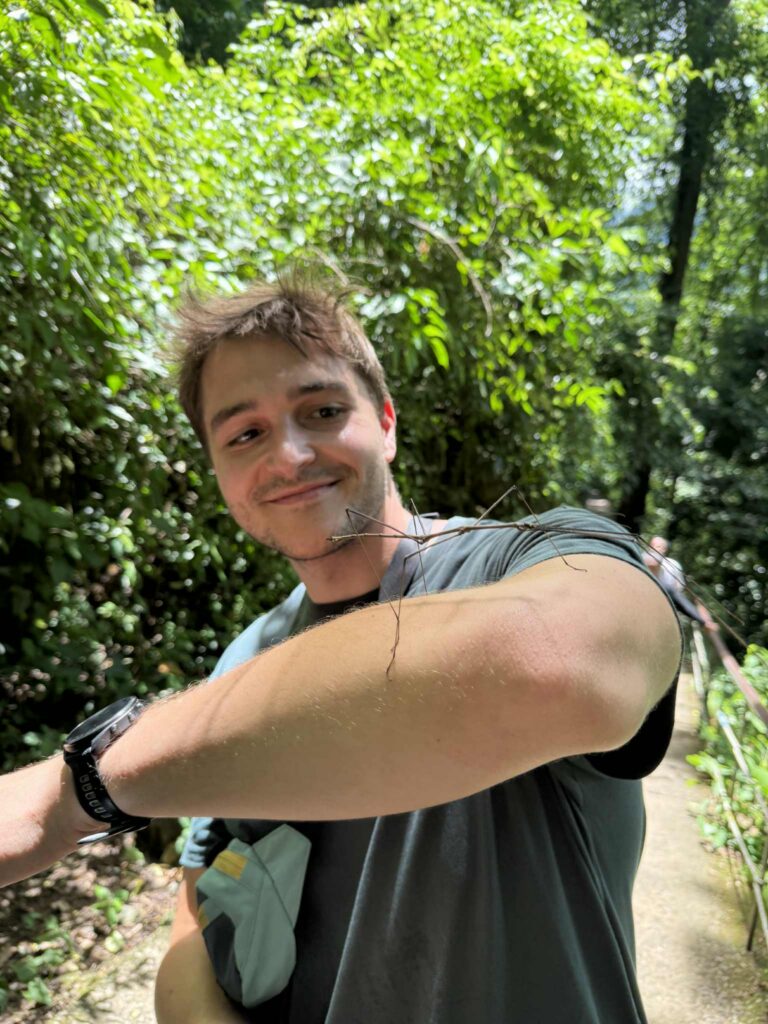 3d12a756 afcb 4c7e 933e 00f14f0df570